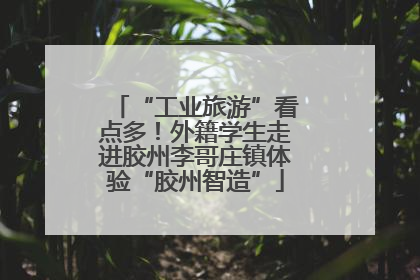 “工业旅游”看点多！外籍学生走进胶州李哥庄镇体验“胶州智造”