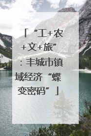 “工+农+文+旅”：丰城市镇域经济“蝶变密码”