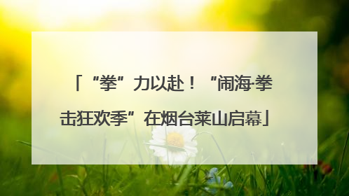 “拳”力以赴！“闹海·拳击狂欢季”在烟台莱山启幕