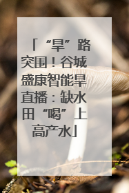 “旱”路突围！谷城盛康智能旱直播：缺水田“喝”上高产水