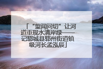 “望闻问切”让河道重现水清岸绿——记郓城县郓州街道镇级河长孟泓辰