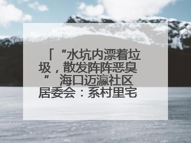 “水坑内漂着垃圾，散发阵阵恶臭” 海口迈瀛社区居委会：系村里宅基地，将派人打捞垃圾