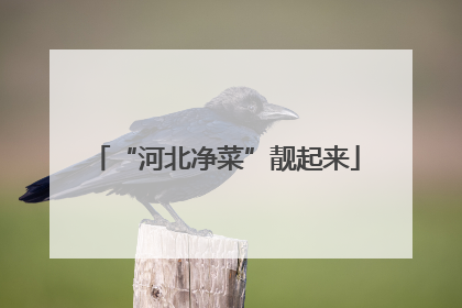“河北净菜”靓起来
