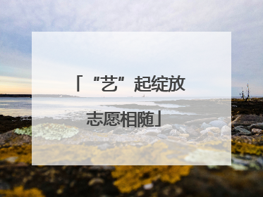 “艺”起绽放 志愿相随