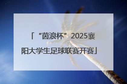 “茵浪杯”2025襄阳大学生足球联赛开赛