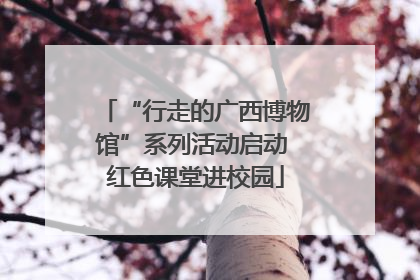“行走的广西博物馆”系列活动启动 红色课堂进校园