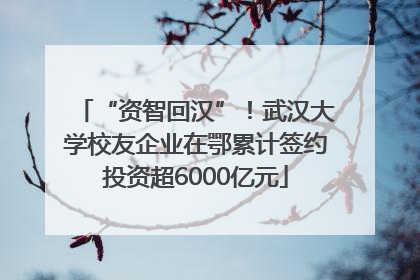 “资智回汉”！武汉大学校友企业在鄂累计签约投资超6000亿元