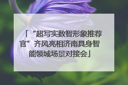 “超写实数智形象推荐官”齐风亮相济南具身智能领域场景对接会