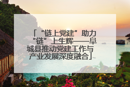 “链上党建”助力“链”上生辉——阜城县推动党建工作与产业发展深度融合