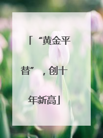 “黄金平替”，创十年新高