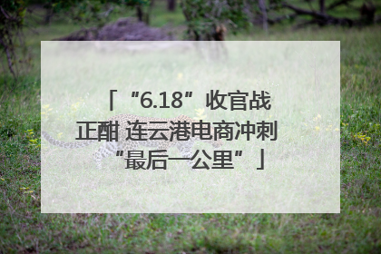 “6.18”收官战正酣 连云港电商冲刺“最后一公里”
