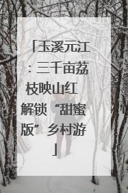 玉溪元江：三千亩荔枝映山红 解锁“甜蜜版”乡村游