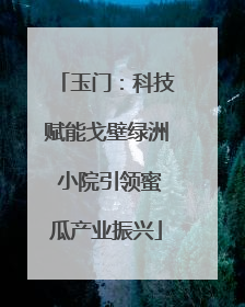 玉门：科技赋能戈壁绿洲 小院引领蜜瓜产业振兴