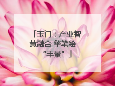 玉门：产业智慧融合 擎笔绘“丰景”