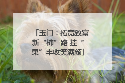 玉门：拓宽致富新“柿”路 挂“果”丰收笑满颜