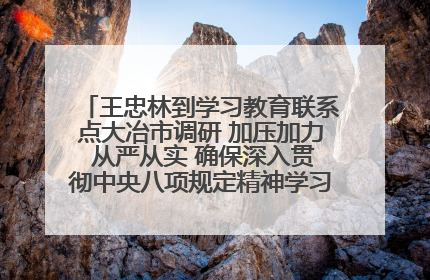 王忠林到学习教育联系点大冶市调研 加压加力 从严从实 确保深入贯彻中央八项规定精神学习教育取得实效