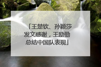 王楚钦、孙颖莎发文感谢，王励勤总结中国队表现