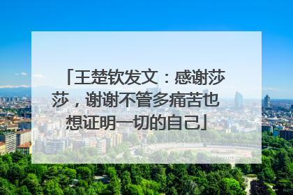 王楚钦发文：感谢莎莎，谢谢不管多痛苦也想证明一切的自己