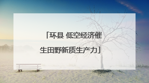 环县 低空经济催生田野新质生产力