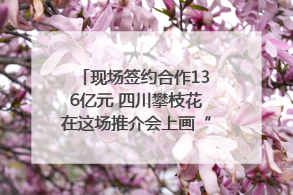 现场签约合作136亿元 四川攀枝花在这场推介会上画“图谱”列“清单”