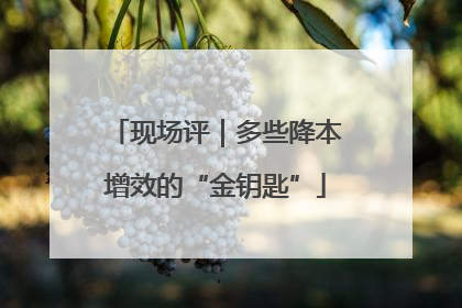 现场评｜多些降本增效的“金钥匙”