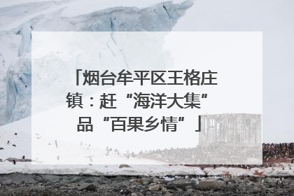 烟台牟平区王格庄镇：赶“海洋大集” 品“百果乡情”