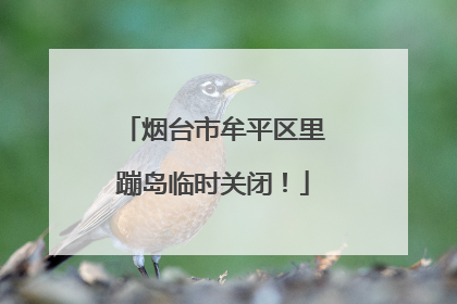 烟台市牟平区里蹦岛临时关闭！