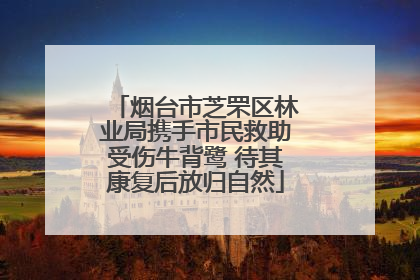 烟台市芝罘区林业局携手市民救助受伤牛背鹭 待其康复后放归自然