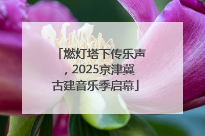 燃灯塔下传乐声，2025京津冀古建音乐季启幕