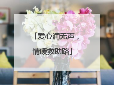 爱心润无声，情暖救助路