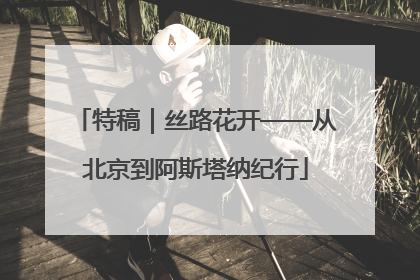 特稿｜丝路花开——从北京到阿斯塔纳纪行