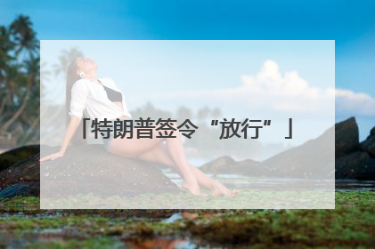 特朗普签令“放行”