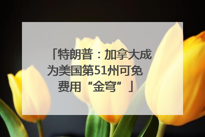 特朗普：加拿大成为美国第51州可免费用“金穹”