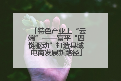 特色产业上“云端”——富平“四链驱动”打造县域电商发展新路径