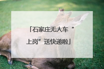 石家庄无人车“上岗”送快递啦