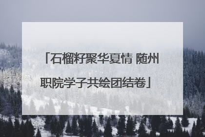 石榴籽聚华夏情 随州职院学子共绘团结卷