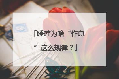 睡莲为啥“作息”这么规律？