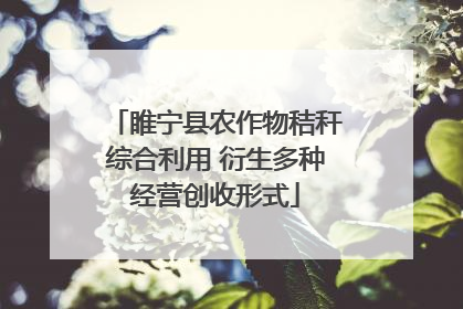 睢宁县农作物秸秆综合利用 衍生多种经营创收形式