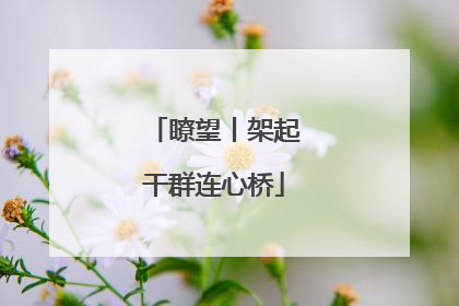 瞭望丨架起干群连心桥