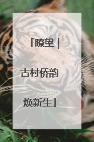 瞭望｜古村侨韵焕新生