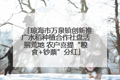 琼海市万泉镇创新推广水稻种植合作社盘活撂荒地 农户喜提“粮食+钞票”分红