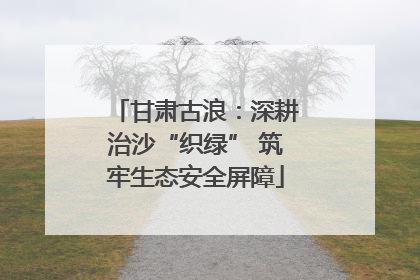 甘肃古浪：深耕治沙“织绿” 筑牢生态安全屏障