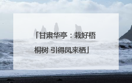 甘肃华亭：栽好梧桐树 引得凤来栖