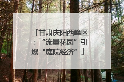 甘肃庆阳西峰区：“流量花园”引爆“庭院经济”