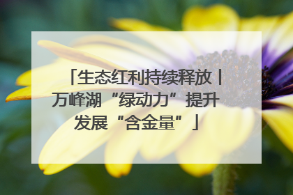 生态红利持续释放丨万峰湖“绿动力”提升发展“含金量”