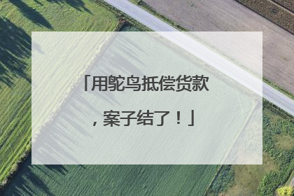 用鸵鸟抵偿货款，案子结了！