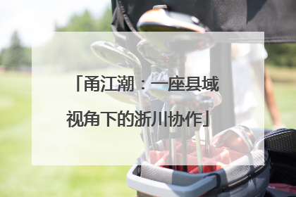 甬江潮：一座县域视角下的浙川协作