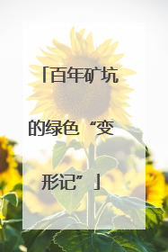 百年矿坑的绿色“变形记”