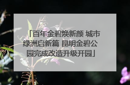 百年金碧焕新颜 城市绿洲启新篇 昆明金碧公园完成改造升级开园