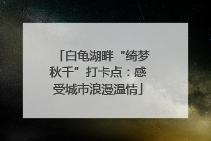 白龟湖畔“绮梦秋千”打卡点：感受城市浪漫温情